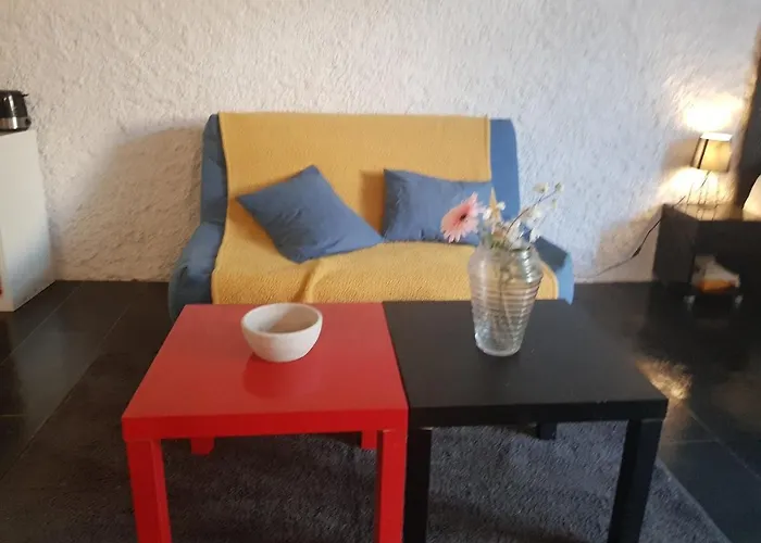 Studio Rdc Avec Terrasse
